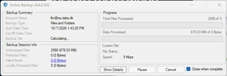 Online Backup-status med backupoversigt, behandlede filer, behandlede data og aktuel fil.